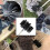 (4+1PCS) Chimney Cleaning Brush Set Chimney Pipe Inner Wall Cleaner Brush Bendable Flexible Cleaning Tools 13
