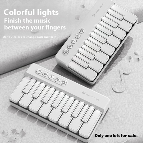 MiniPiano Pocket Electronic Keyboard Mini Organ Po 2