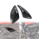 Under Tank Side Frame Cover for Z900RS Z900 2018- 9