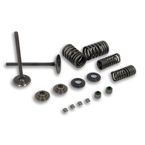 14711--910 Engine Valve Springs Inlet Intake Stem