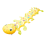 Inflatable Water Sprinkler for Backyard Fun Outdo 1