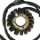 Stator Coil for 450R 450ER 2006 2007 2008 2009 31 3