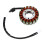 5EB-81410-00-00 Generator Stator Coil for R6 YZF-R 11