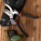 Pruning Shears for Gardening Bypass Garden Scissor 7