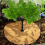 Flower Pot Mats Shielding Tree Fence Anti-Weed Dec 7