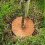 Flower Pot Mats Shielding Tree Fence Anti-Weed Dec 9