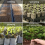 Biodegradable Seed Nursery Bags, Plant Growing Fab 6
