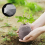 Biodegradable Seed Nursery Bags, Plant Growing Fab 3