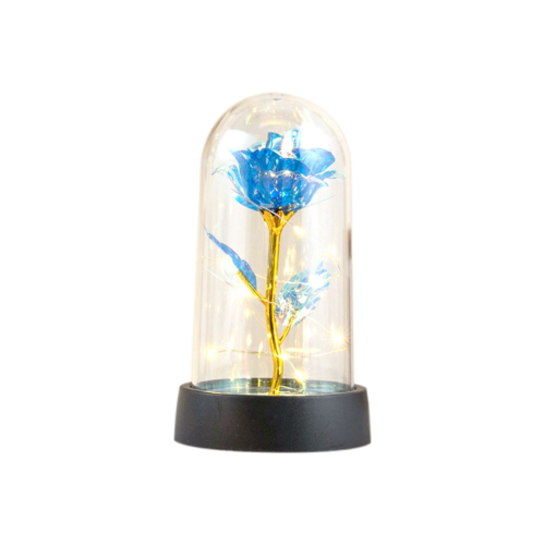 Valentines Day Rose Gift for Her - Galaxy Butterfl