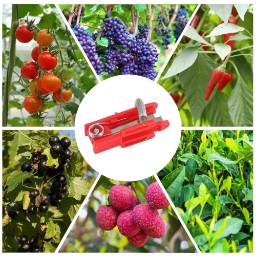 Vegetable Finger Knife Separator Farm Garden Orcha 2