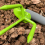 Garden Scarifying Steel Fork Agricultural Integrat 4
