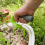 Garden Scarifying Steel Fork Agricultural Integrat 8