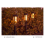 4PCS Solar Torch Lights for Garden Decor 12 LED Ou 5