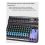 12 Channels Professional Portable Audio Interface 9