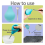 Sprinkler Ball - for Wool Felt Wet Projects DIY Pr 4