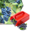 Berry Picker, Pickers and Rakes with Metallic Comb 3