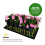 MET Certified Seedling Heat Mat, Waterproof Germin 6