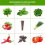 30 Pack Seed Plant Grow Sponges, Eco-Friendly Grow 5