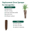 30 Pack Seed Plant Grow Sponges, Eco-Friendly Grow 4