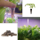 30 Pack Seed Plant Grow Sponges, Eco-Friendly Grow 8