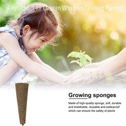 30 Pack Seed Plant Grow Sponges, Eco-Friendly Grow 2
