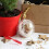 30Pcs Plastic Hollow Ball Christmas Decoration Win 5