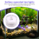 12Pcs Submersible LED Light, Waterproof Flameless 5