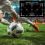 Football Footstep Training Mat, Non-Slip Soccer Tr 7