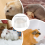 Hamster Sand Bath Container Critter'S Shower Room 11