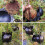 10Pcs Reusable High Pressure Ball Plant Rooting Gr 6