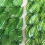 Artificial Leaf Privacy Fence Roll Wall Landscapin 6