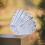 Coffee Filter Paper Assistant for Paragons Cup T1 4