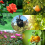 15PCS Plant Propagation Stations Air Layering Pods 6