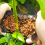 15PCS Plant Propagation Stations Air Layering Pods 11