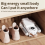Shoe Dryer Intelligent Timer Adjustable Quick Dryi 8