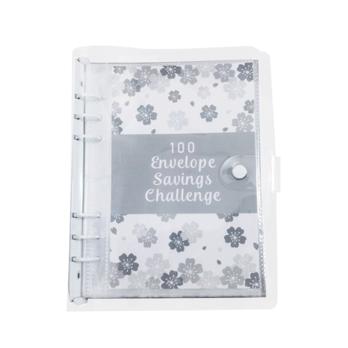 100 Envelope Challenge Binder Savings for Save 505