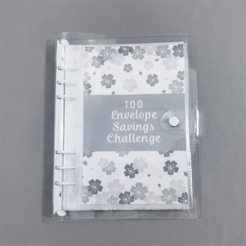 100 Envelope Challenge Binder Savings for Save 505 2