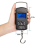 1Pcs 50Kg Travel Scale Digital Fishing with Ruler 6