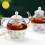 (C)Teapot With A Cup Of Glass Teapot 5