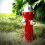 Fake Fire Hydrant Statue for Dogs to Pee, Puppy Pe 5