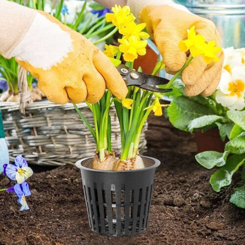45 Pieces Hydroponic Net Pots, Plastic Pot for Gar 2