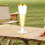 25Pcs 150ml Disposable Champagne Flutes Clear Toas 6