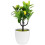 2Stk Künstliche Bonsai Aus Gelb 5