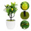 2Stk Künstliche Bonsai Aus Gelb 11