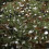 *5M Netting Hide 6