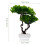 Gefälschtes Willkommen-Pine Bonsai Ornament Grün Kunststoffdeko 7