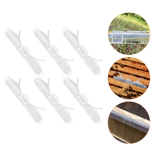 6Pcs Small Clear Plastic Beetle Traps Baitable Beekeeping Supplies 2
