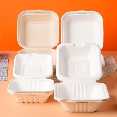 20pcs Cane Pulp Bbq Boxes White Disposable For Home Use 2