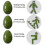 Natural Jade Women's Pelvic Floor Exercise Complete Set 4