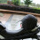1Set Bagagli Elastico Nero Tessuto Resistente Impermeabile 2